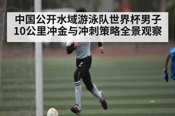 中国公开水域游泳队世界杯男子10公里冲金与冲刺策略全景观察